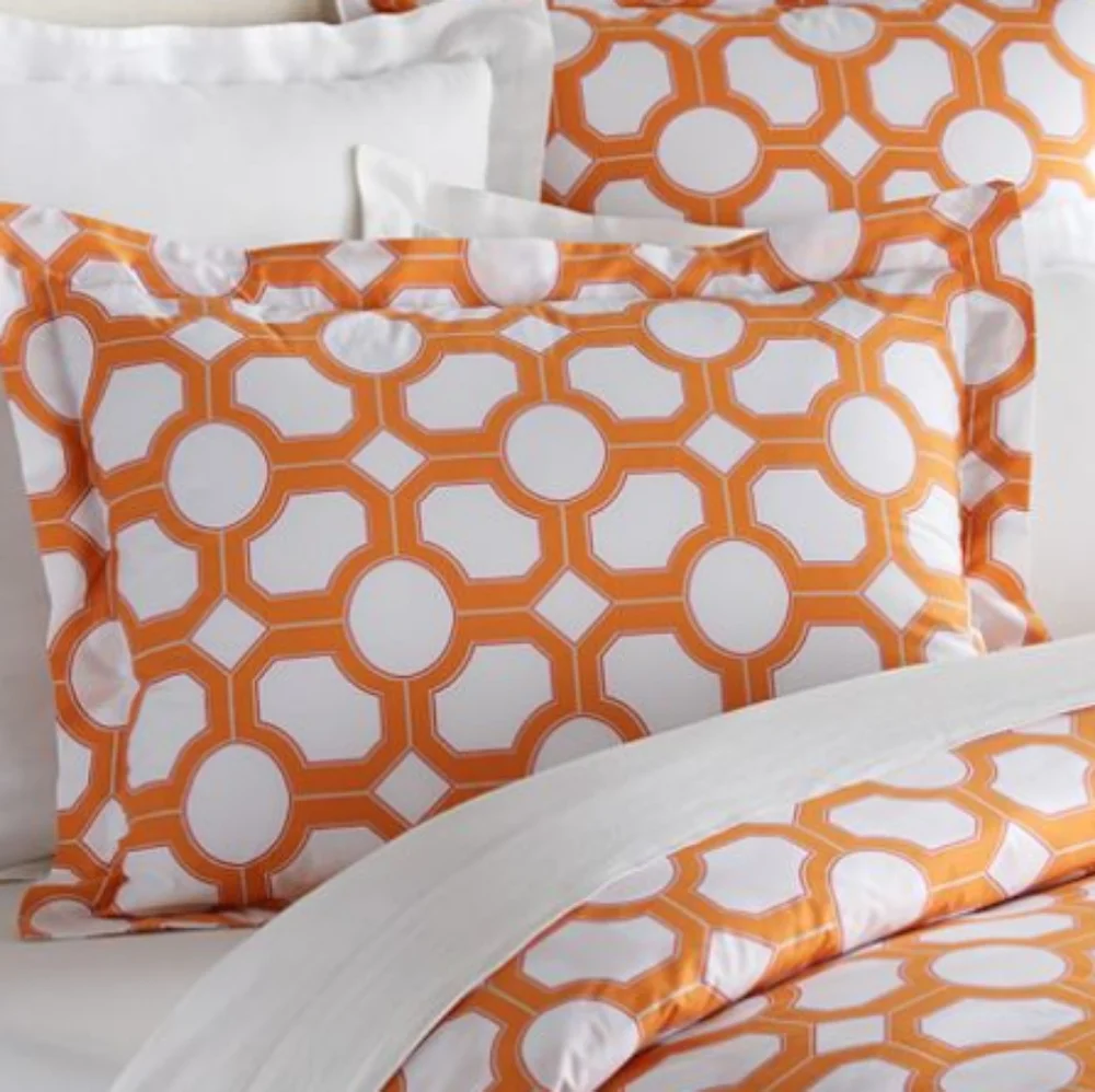 Pottery Barn Nova Geo *Single* Standard Sham Orange/White